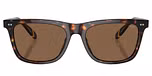 Shiny Dark Havana / Brown
