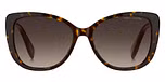 HAVANA / BROWN SHADED