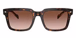 Dark Havana / Brown / Gradient Brown