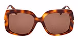 DARK HAVANA / SHINY PALE GOLD / BROWN