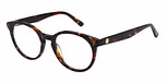 GLOSS TORT