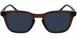 TRANSPARENT BROWN