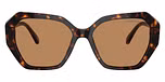 Dark Havana / Brown / Photochromic Brown