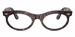Havana / Clear / brown Photochromic
