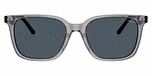 Shiny Transparent Grey / Bottle Green