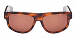 DARK HAVANA / DARK HAVANA / BROWN
