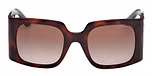 DARK HAVANA / SHINY BLACK / GRADIENT BROWN