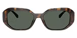 Dark Tortoise / Green Solid