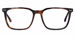 Brown / Demi