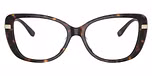 Dark Tortoise