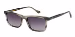 Grey with Gradient Grey Lens