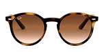 SHINY HAVANA / havana / brown gradient