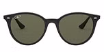 BLACK / black / polarized green