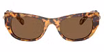 Medium Havana / Tortoise / Dark Brown