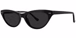 Black / Polarized