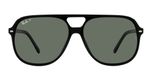 BLACK / black / polarized green