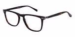 GLOSS DARK TORT