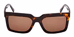 DARK HAVANA / DARK HAVANA / BROWN