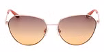 SHINY PALE GOLD / ANIMAL / MONOCOLOR / GRADIENT BROWN