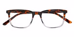 TORTOISE DARK DEMI