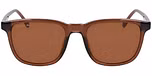 TRANSPARENT BROWN