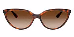 Dark Havana / Brown / Gradient Brown