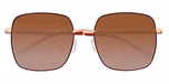 Violet / Brown Lenses