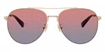 Shiny Light Gold / Blue Saddle Gradient