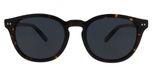 Tortoise Polarized