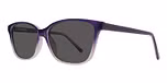 Purple Gradual