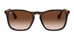 RUBBER HAVANA / havana / brown gradient dark brown