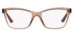 Transparent Brown / Brown
