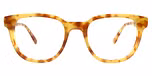 Honey Tortoise