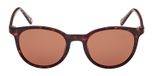 DARK HAVANA / DARK HAVANA / BROWN