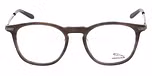 BLUISH BROWN
