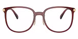 Transparent Burgundy