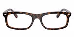Havana Brown / Tortoise