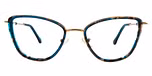 Teal Tortoise