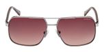 SHINY GUNMETAL / DARK HAVANA / GRADIENT BROWN