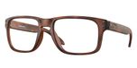 MATTE BROWN TORTOISE / havana