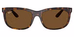 Havana / B-15 Brown