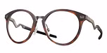 Polished Brown Tortoise