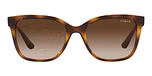 DARK HAVANA / havana / brown gradient