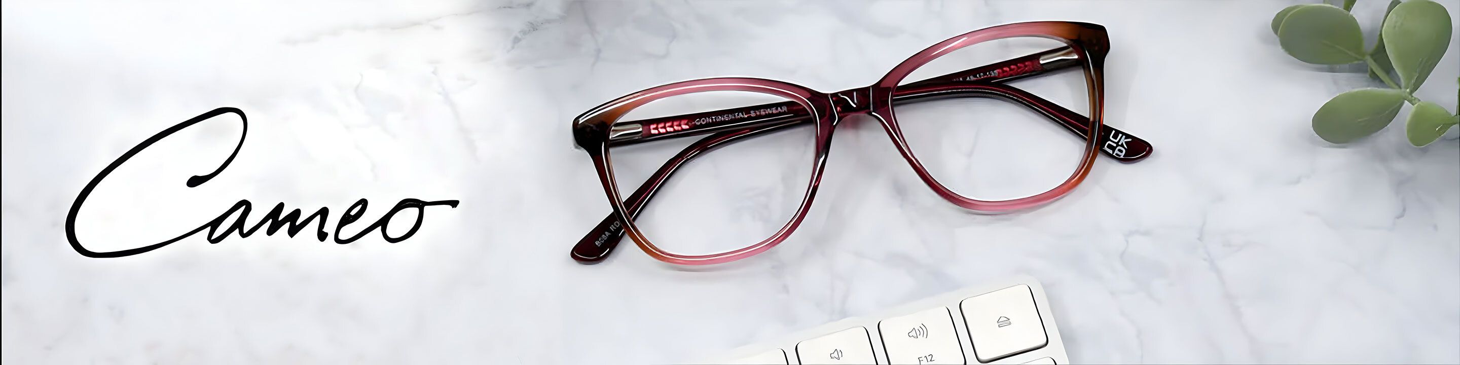 Cameo designer sunglassess desktop banner