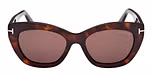 DARK HAVANA / DARK HAVANA / BROWN