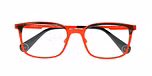 TRANSPARENT GREY TORTOISE