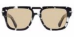 BLACK TORTOISE