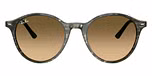 Transparent Shade Fantasy Green / Brown