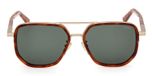 DARK HAVANA / GREEN