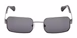 SHINY GUNMETAL / SHINY GUNMETAL / SMOKE